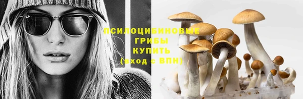 эйфоретик Армянск