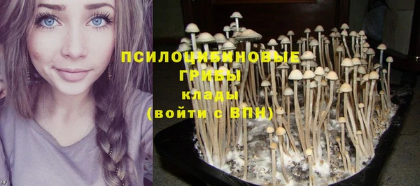 эйфоретик Армянск