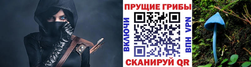 блэк спрут зеркало  Белая Холуница  Галлюциногенные грибы мухоморы 